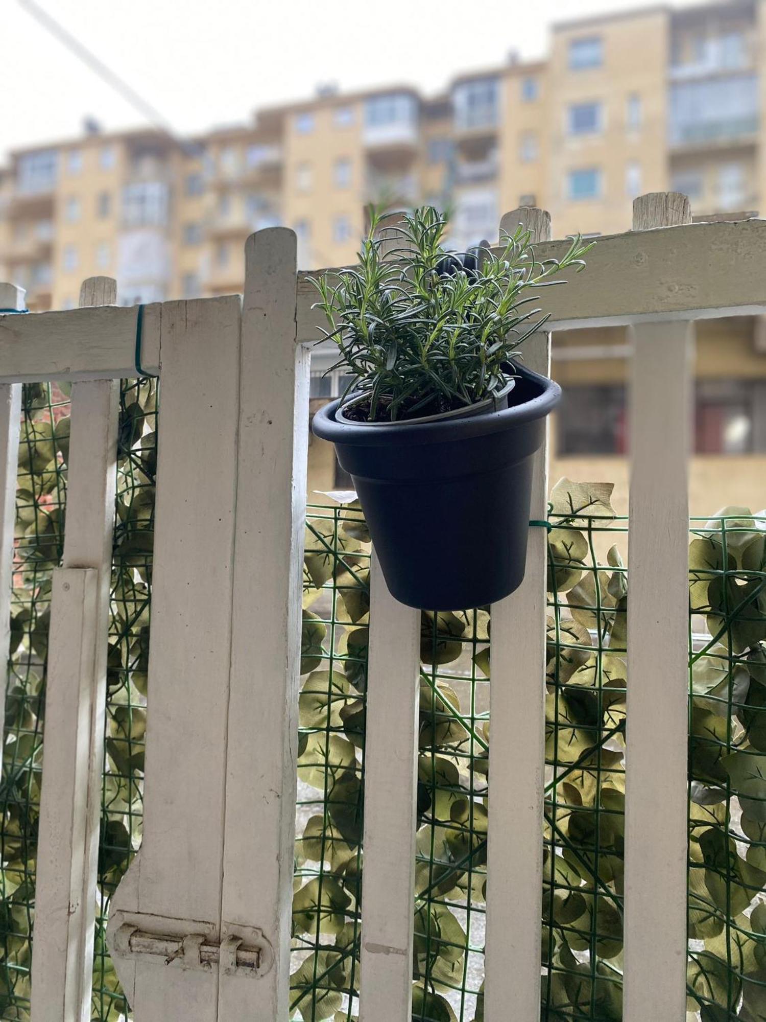 Apartment Grey House Turin